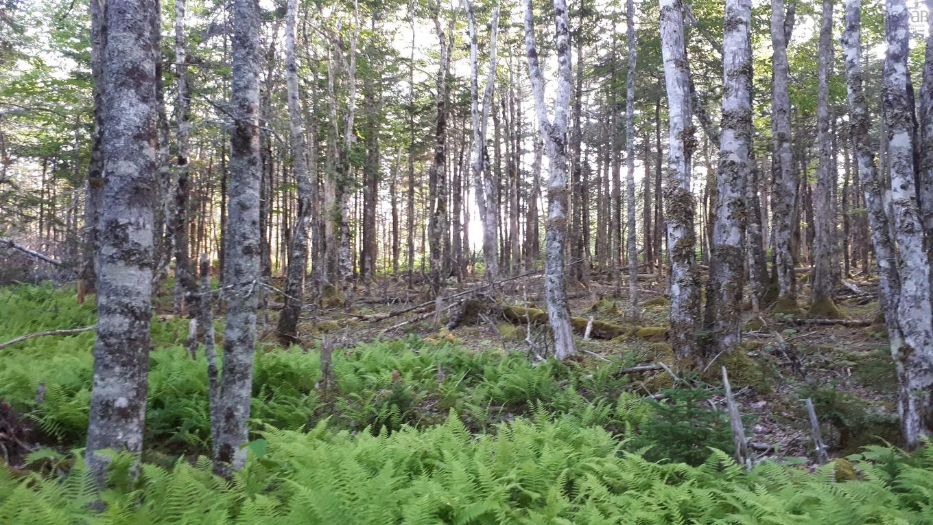 Lot 1A-79 Maple Dr, Cape George Estates, NS