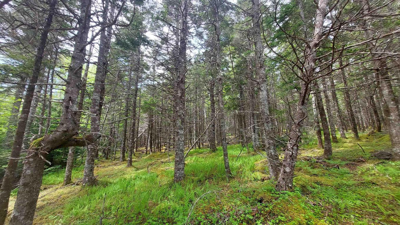 Lot 1A-79 Maple Dr, Cape George Estates, NS