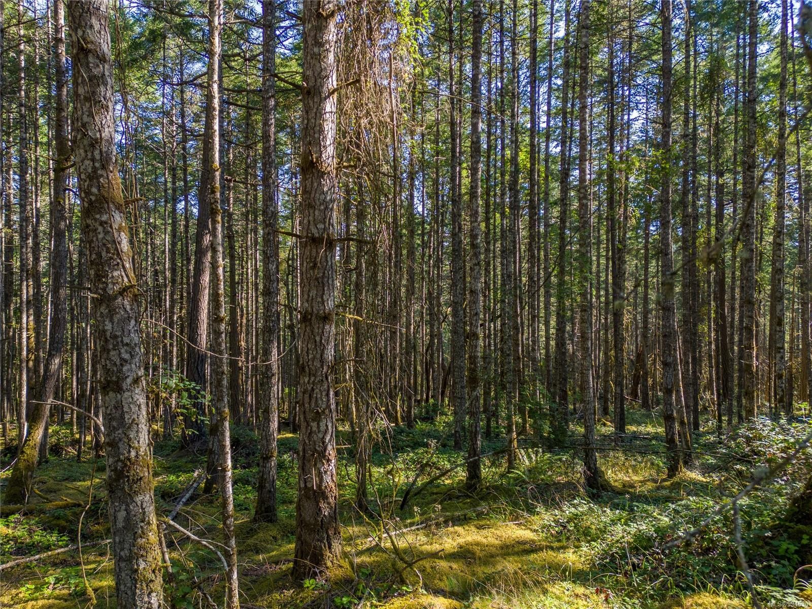 Lot C Ellis Rd, Galiano Island, BC