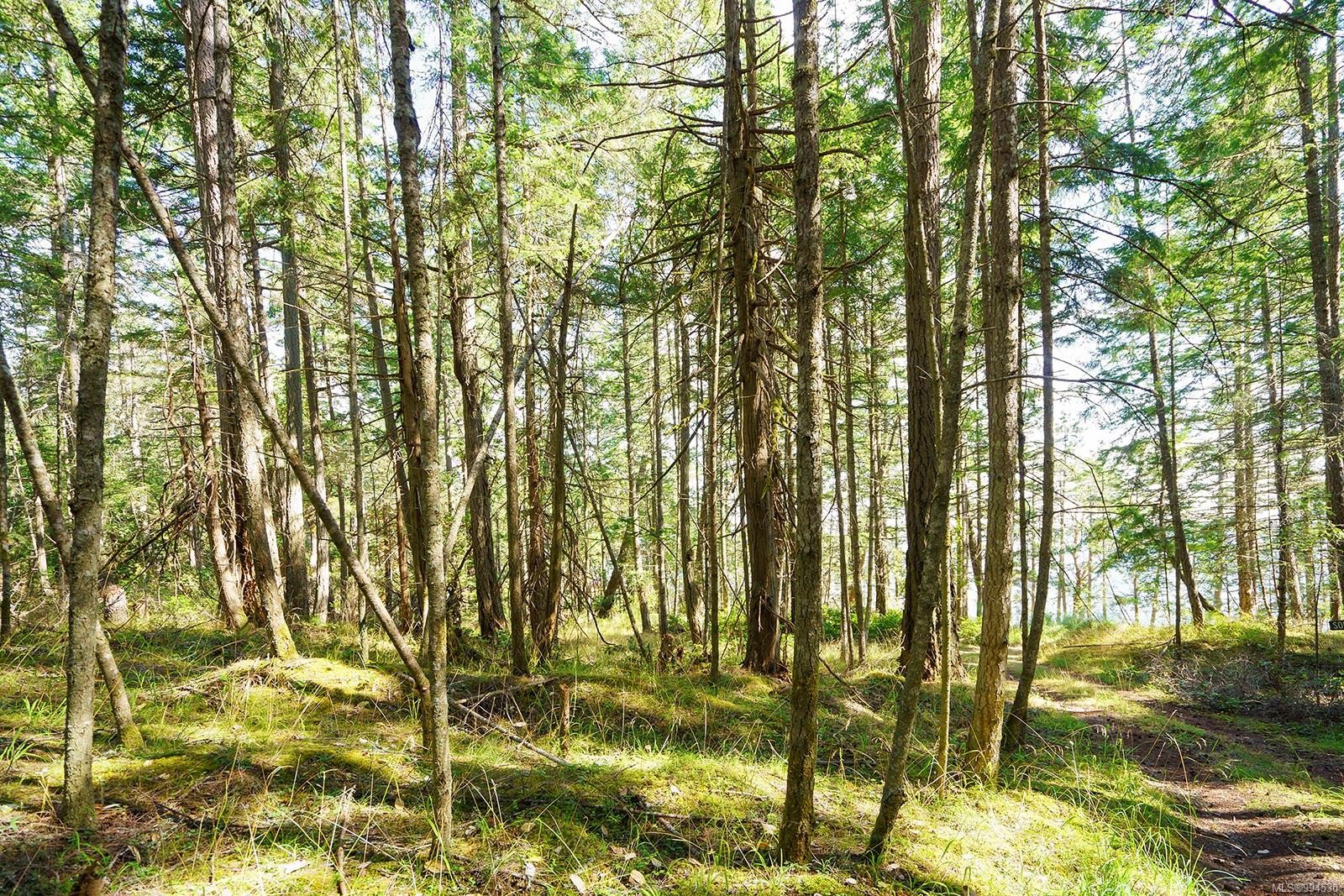 Lot C Ellis Rd, Galiano Island, BC