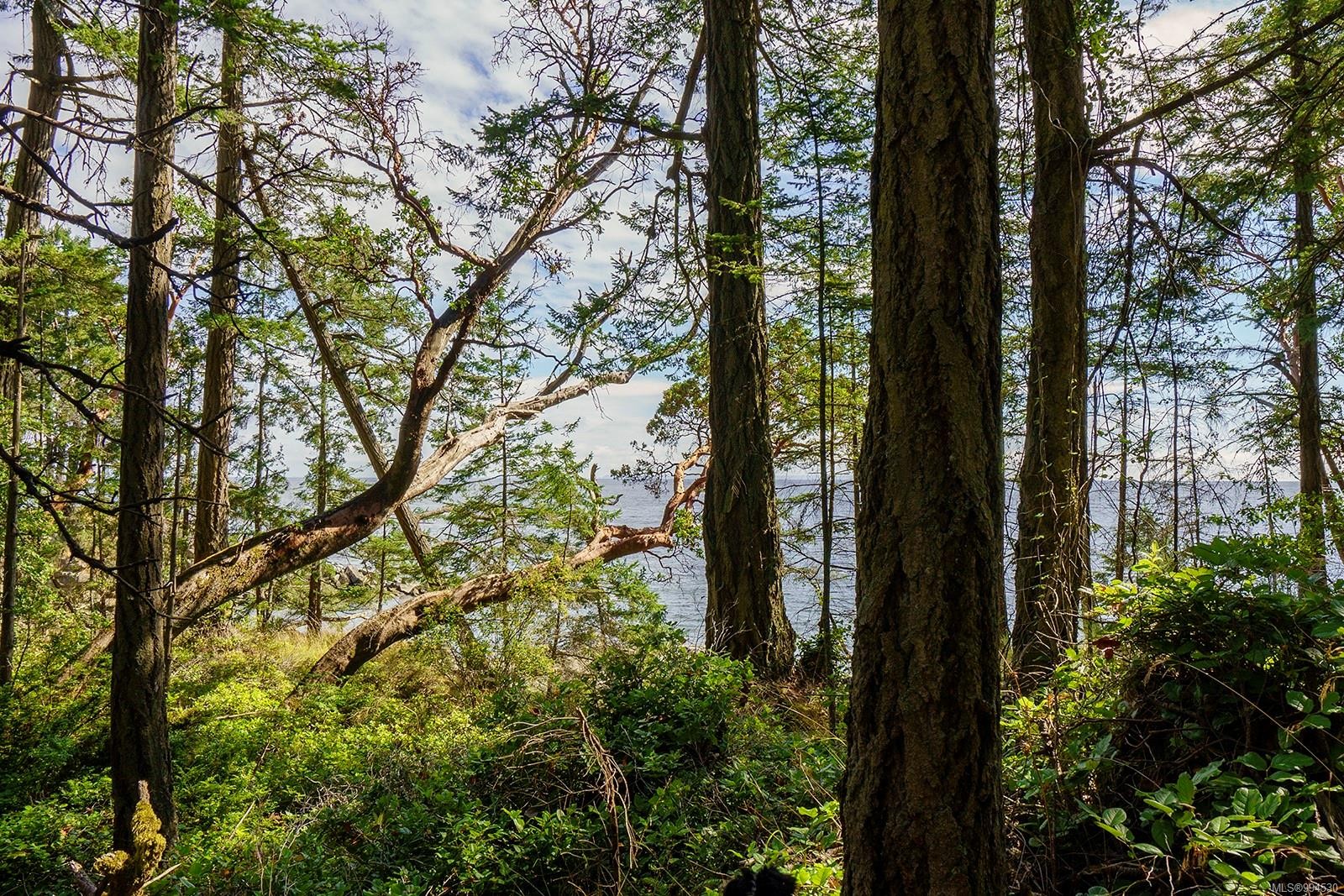 Lot C Ellis Rd, Galiano Island, BC