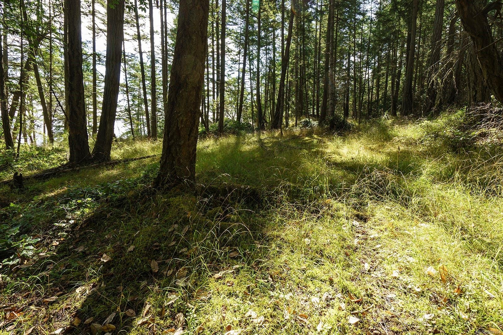 Lot C Ellis Rd, Galiano Island, BC