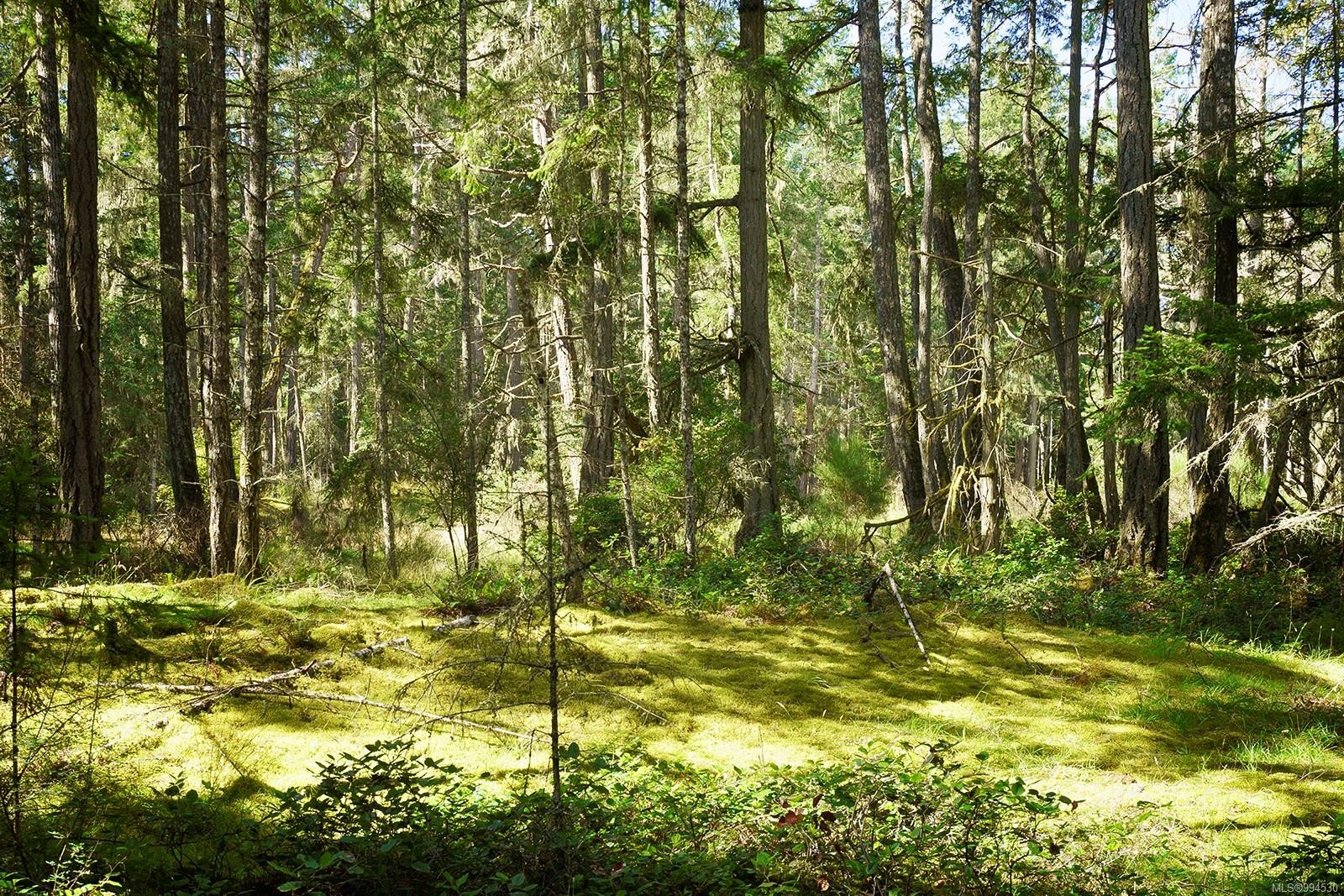 Lot C Ellis Rd, Galiano Island, BC