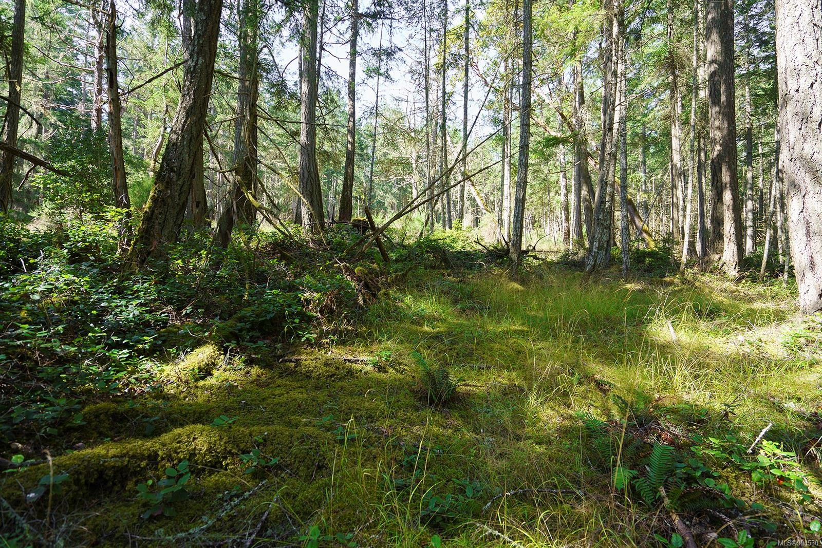 Lot C Ellis Rd, Galiano Island, BC