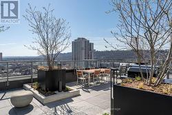 Rooftop patio view -