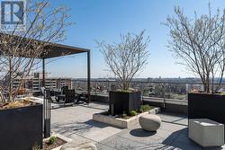 Rooftop patio -