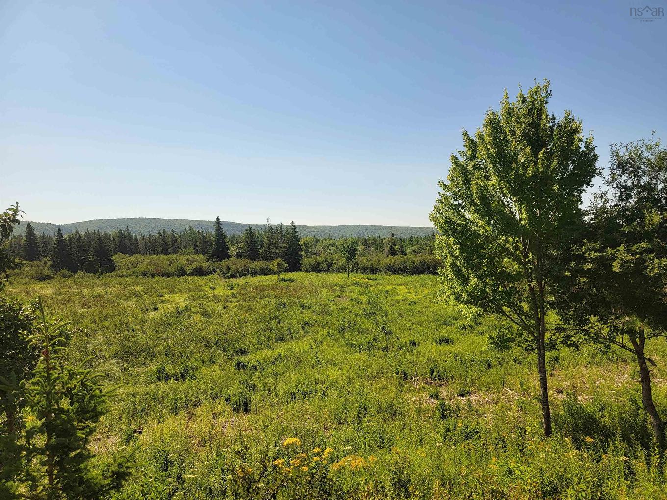 Barren Road, River Denys, NS