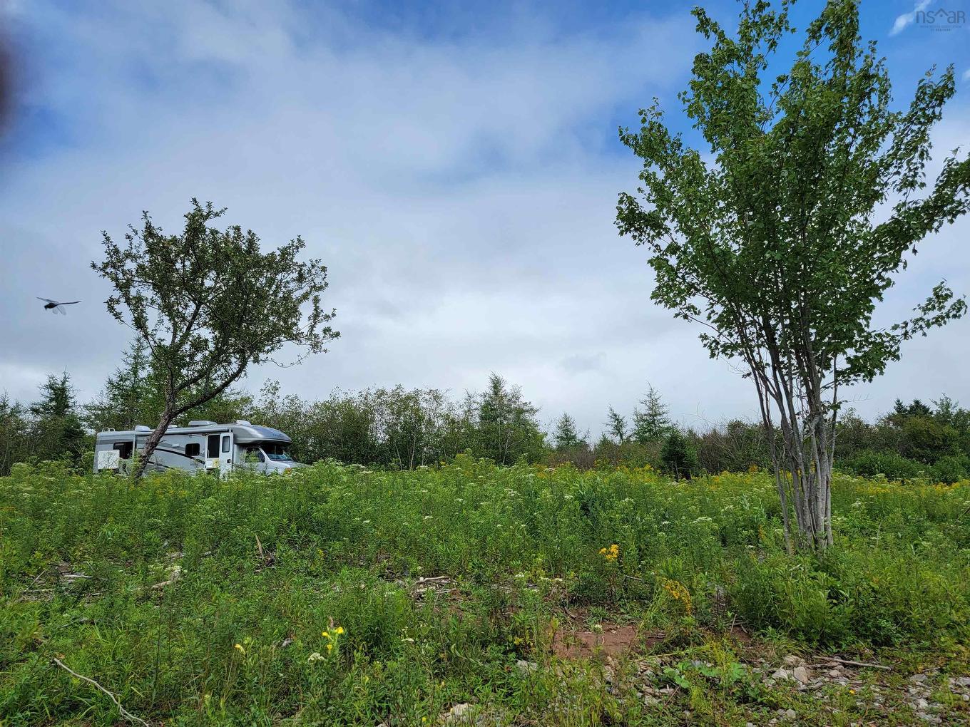 Barren Road, River Denys, NS