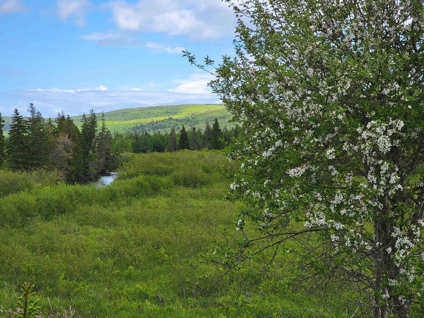 Barren Road, River Denys, NS