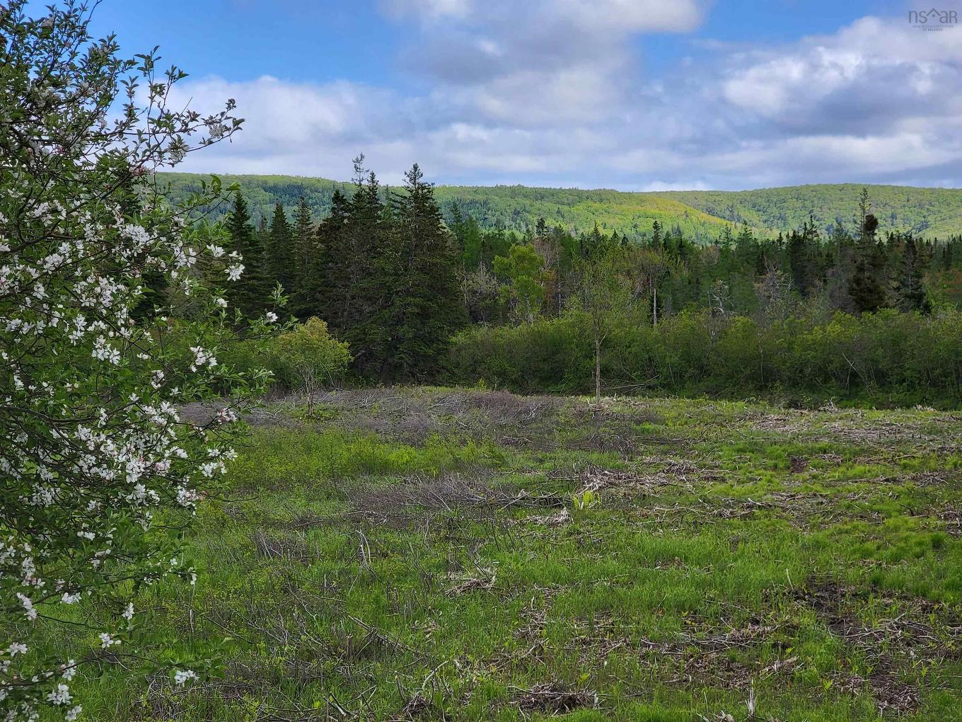 Barren Road, River Denys, NS