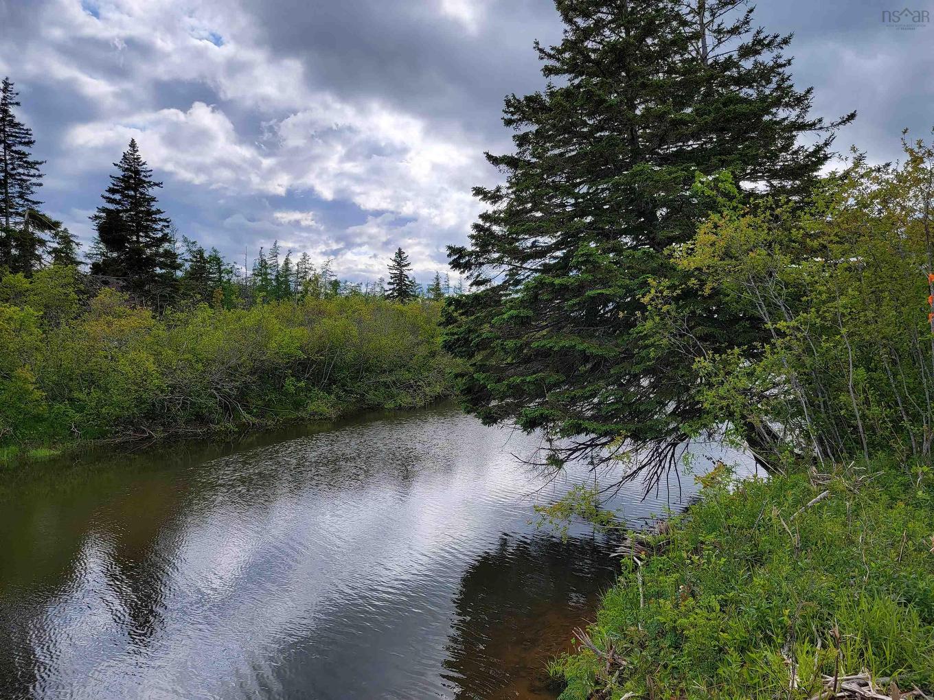 Barren Road, River Denys, NS