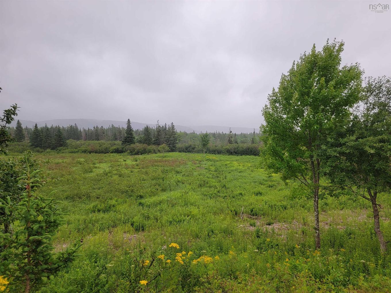 Barren Road, River Denys, NS
