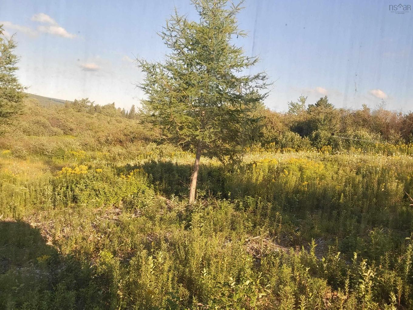 Barren Road, River Denys, NS