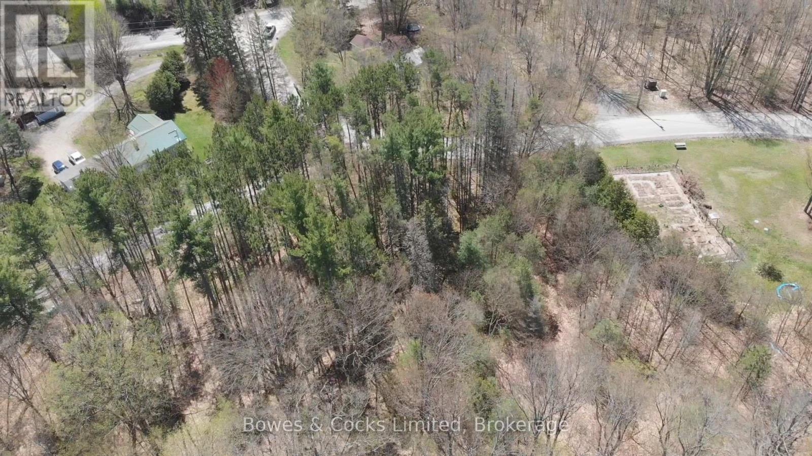 red pine - Pt Lt 21 Con 4 Shadowood Lane N, North Kawartha, ON