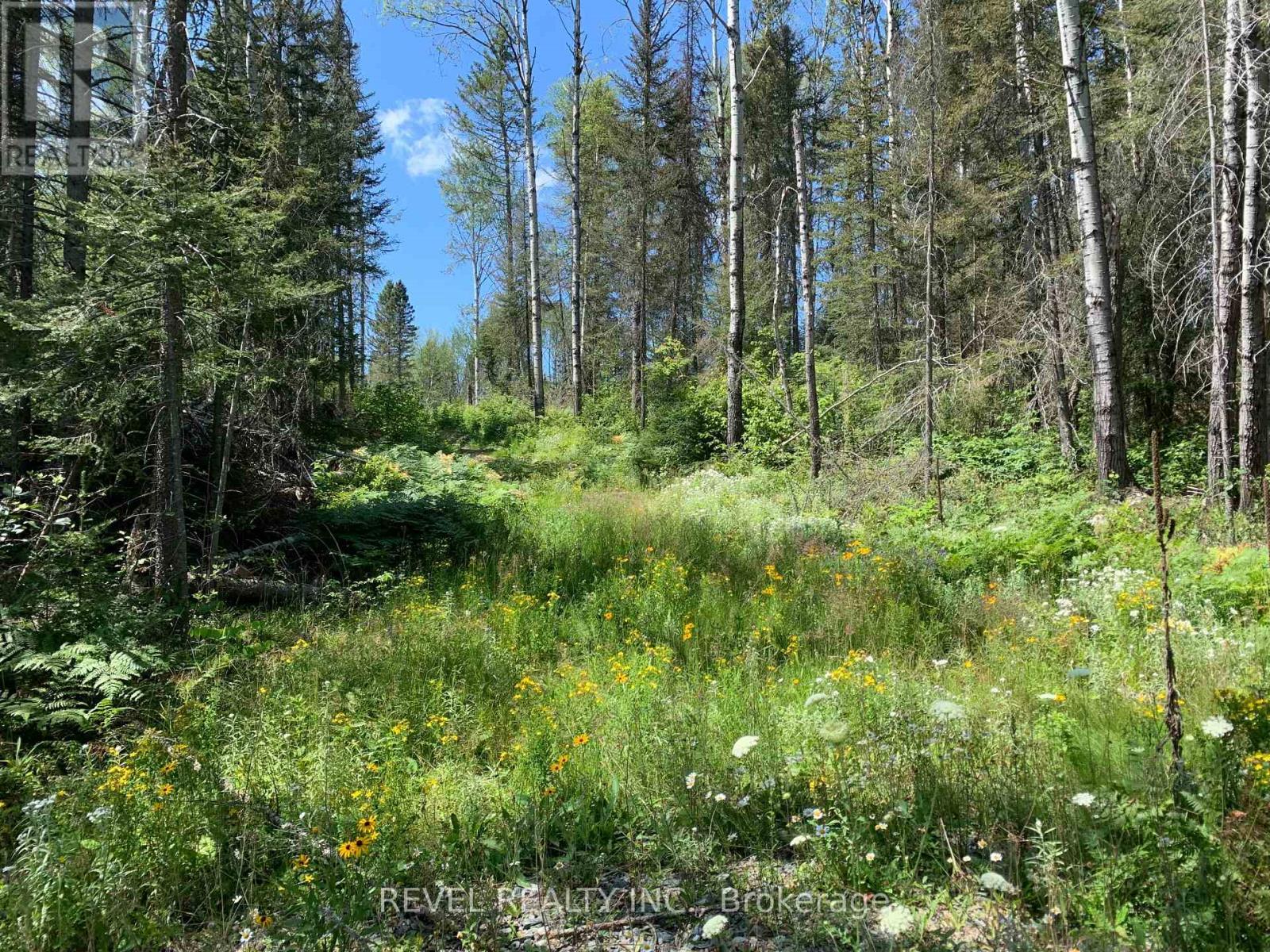 Pcl8547 Hwy 101 Highway W, Timmins (Tctdar Outside), ON