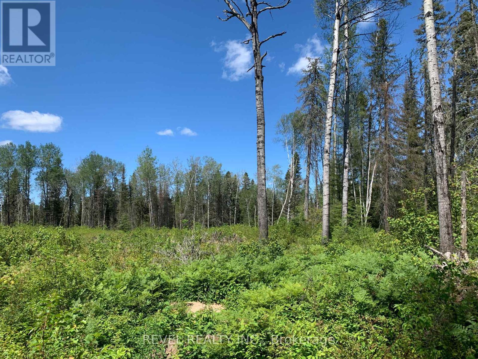 Pcl8547 Hwy 101 Highway W, Timmins (Tctdar Outside), ON