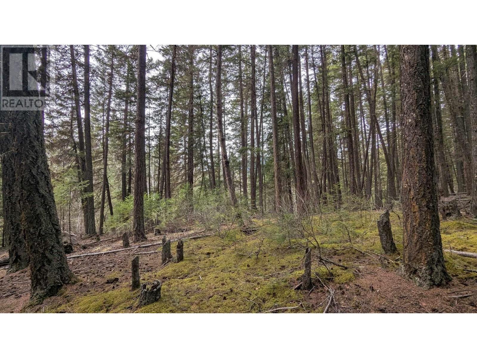 Lot 3 Summit Road, Canim Lake, BC