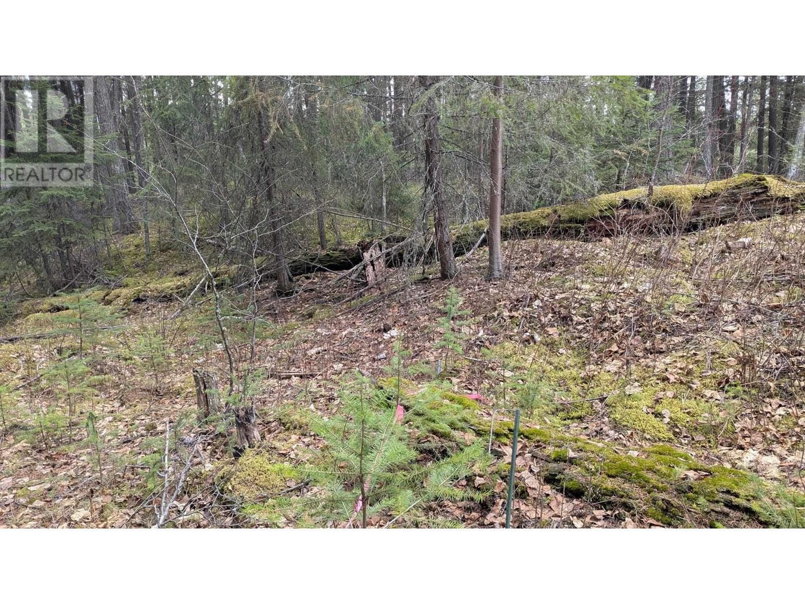 Lot 3 Summit Road, Canim Lake, BC
