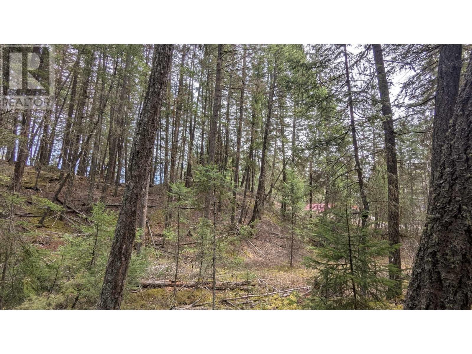 Lot 3 Summit Road, Canim Lake, BC