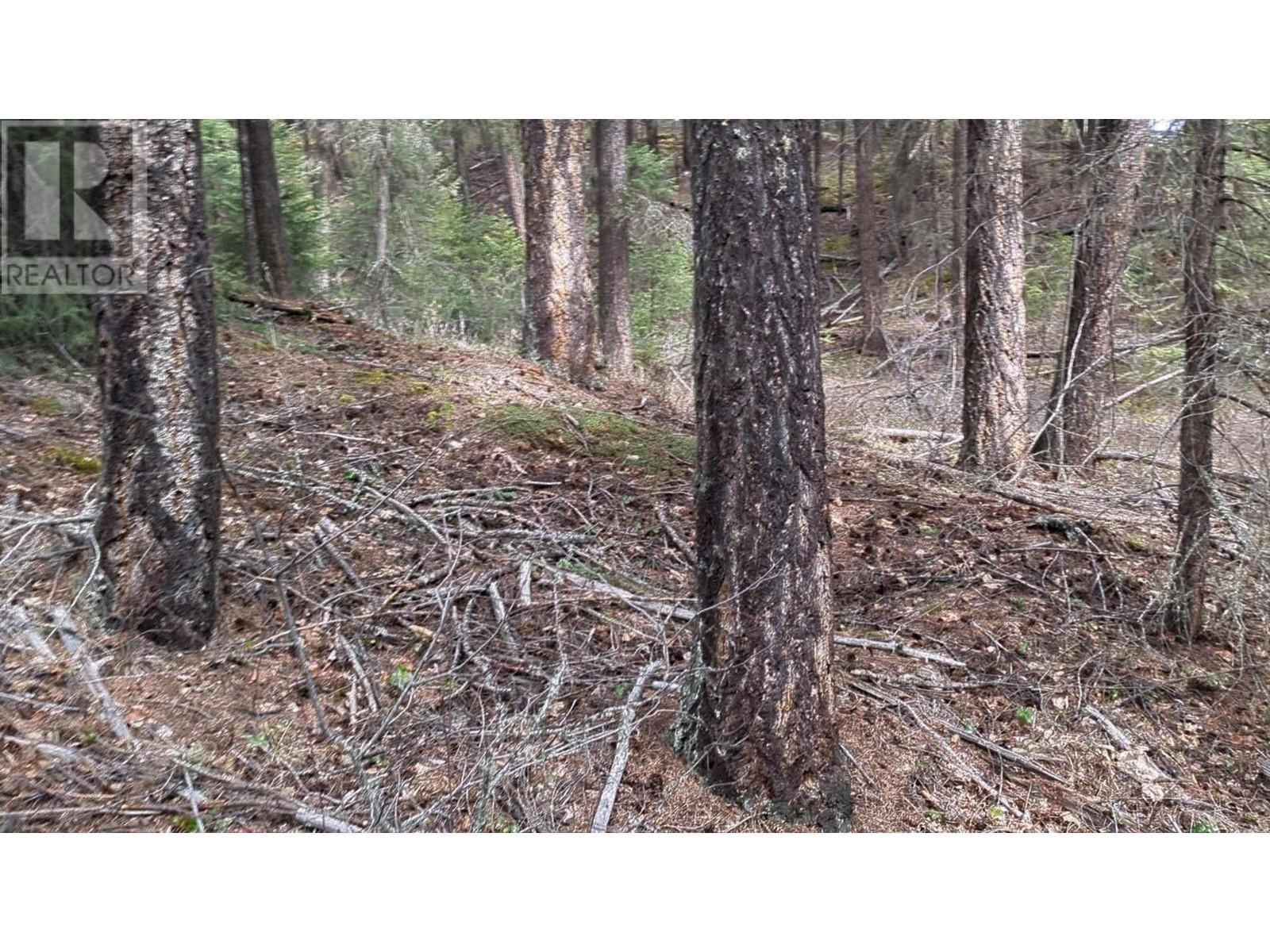 Lot 3 Summit Road, Canim Lake, BC