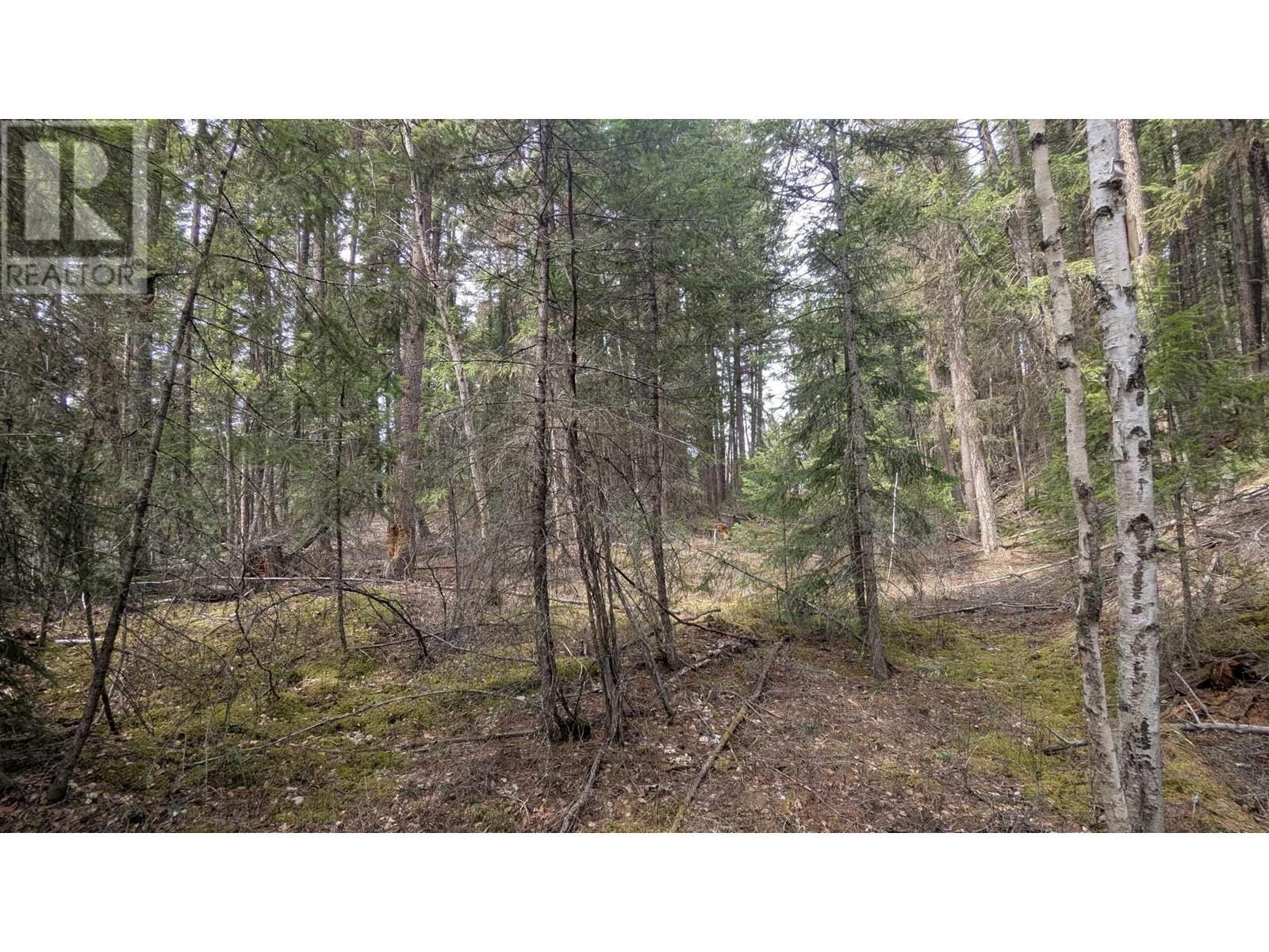 Lot 3 Summit Road, Canim Lake, BC