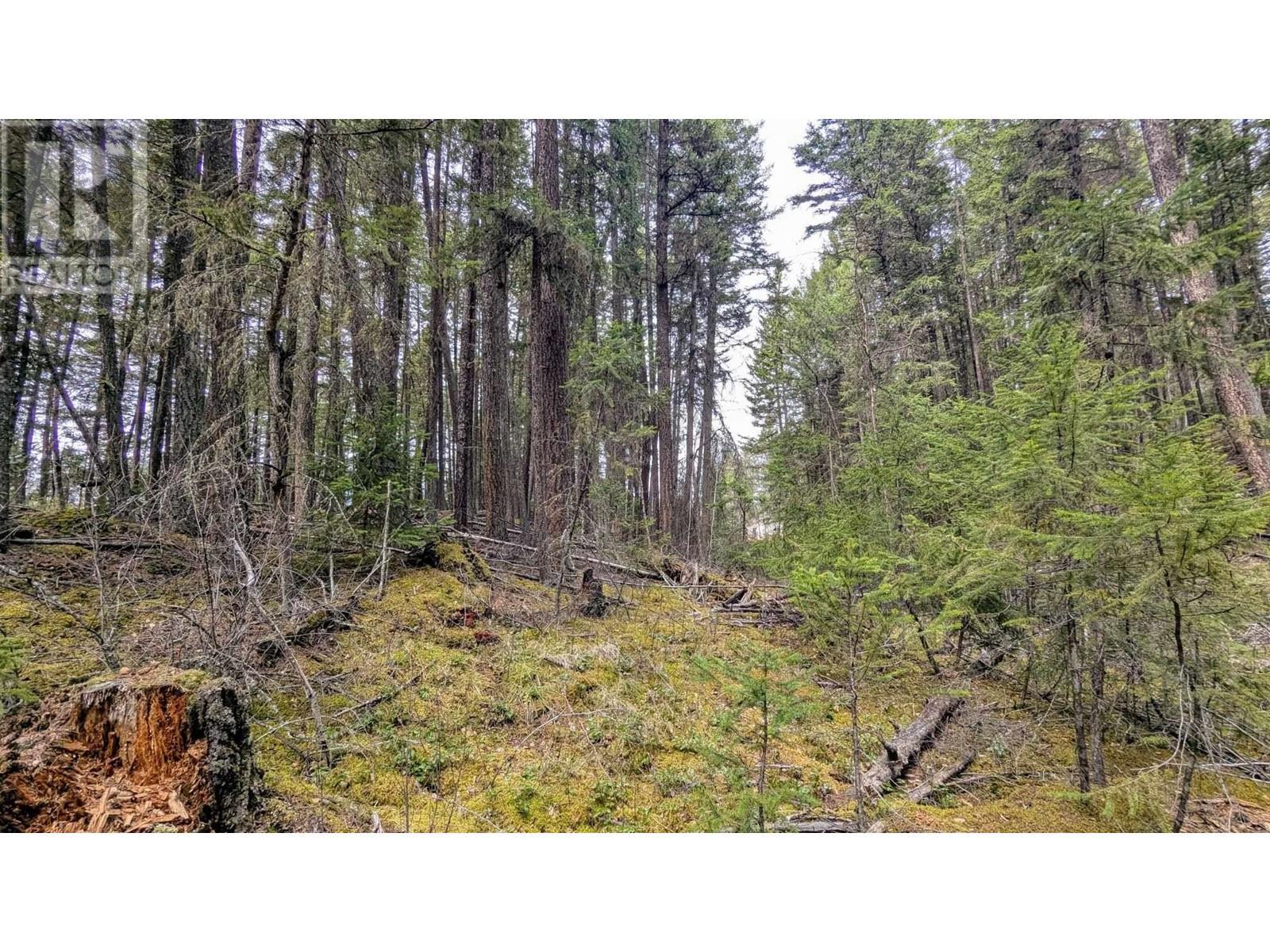 Lot 3 Summit Road, Canim Lake, BC