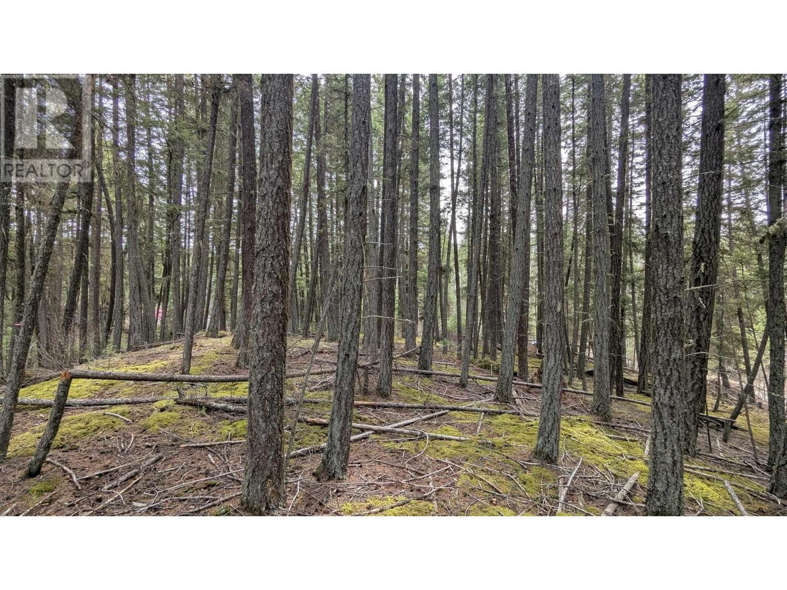 Lot 3 Summit Road, Canim Lake, BC