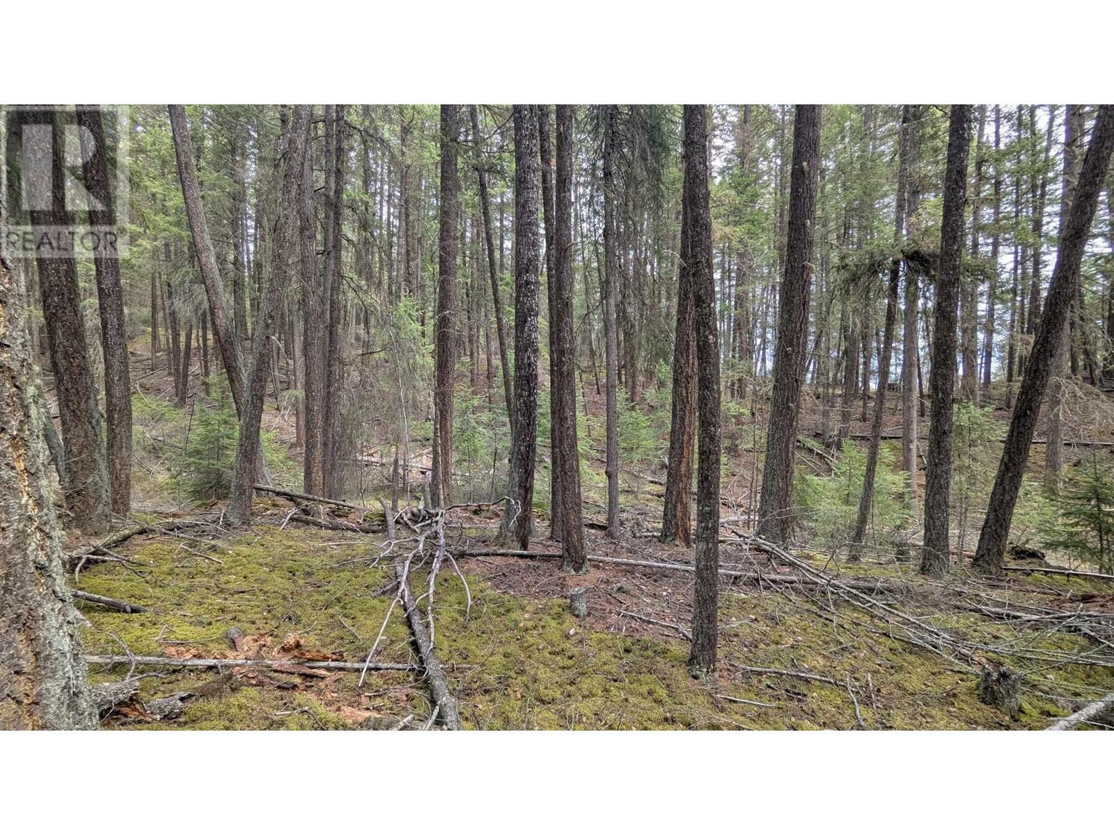 Lot 3 Summit Road, Canim Lake, BC