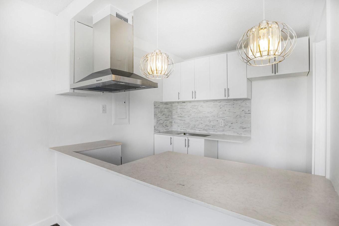 Cuisine - 320-150 Rue Berlioz, Montréal (Verdun/Île-Des-Soeurs), QC - Indoor Photo Showing Kitchen