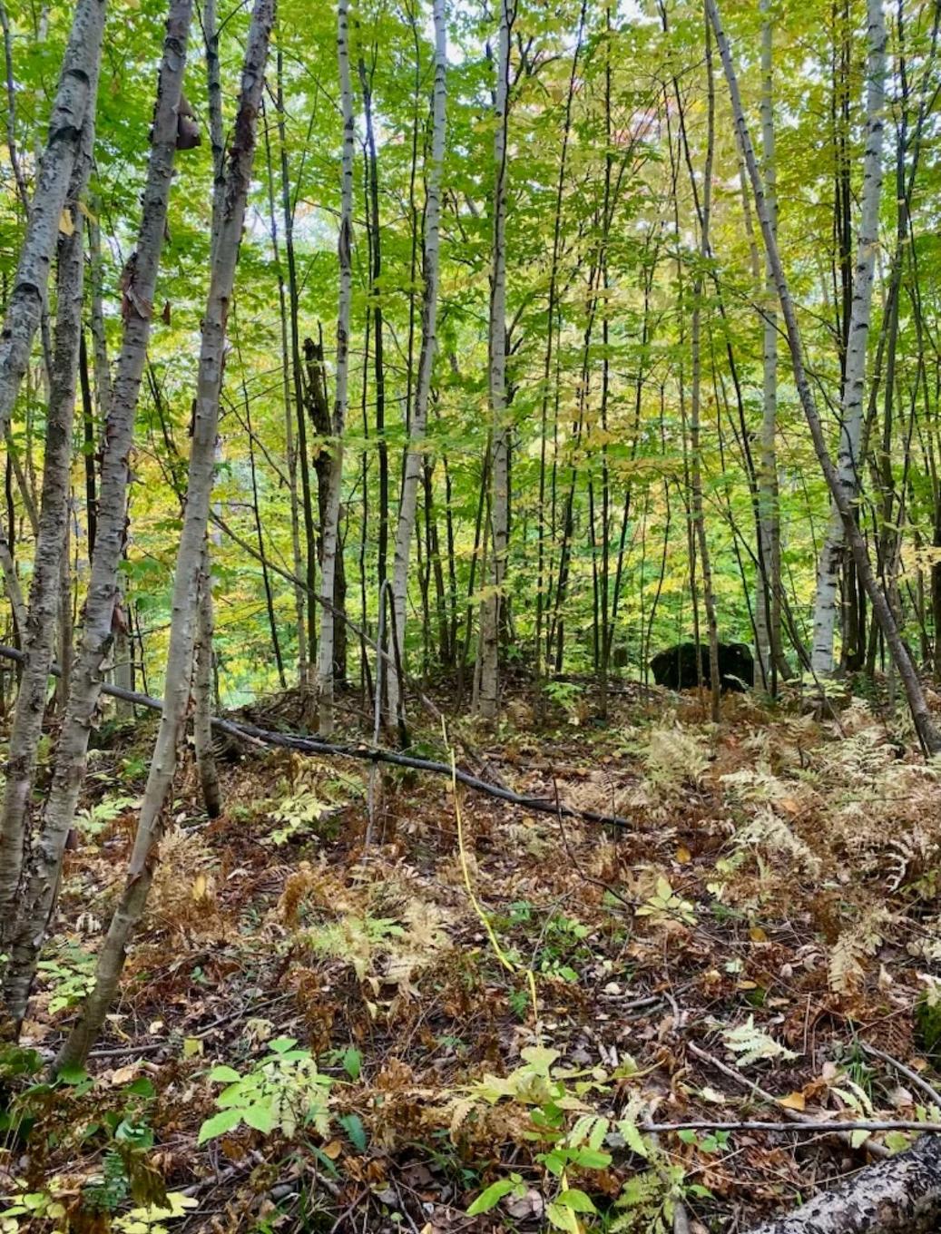 Terre/Terrain - Ch. Des Merles, Potton, QC