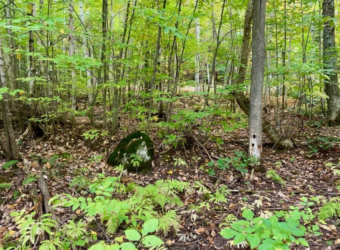 Terre/Terrain - Ch. Des Merles, Potton, QC