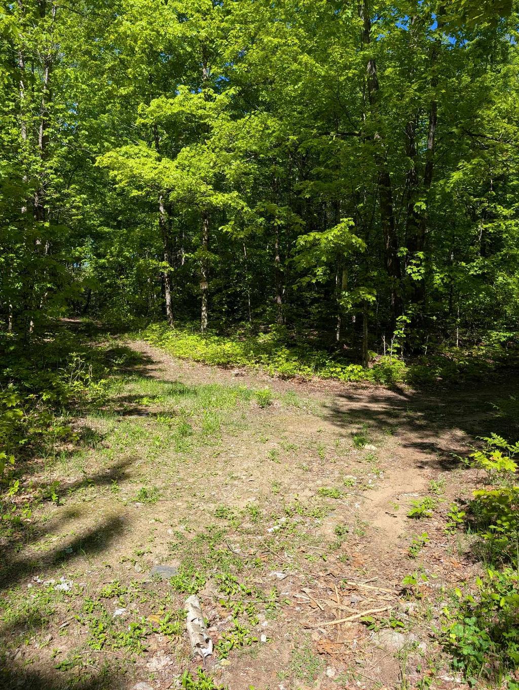 Land/Lot - 27 Ch. Bernier, La Pêche, QC