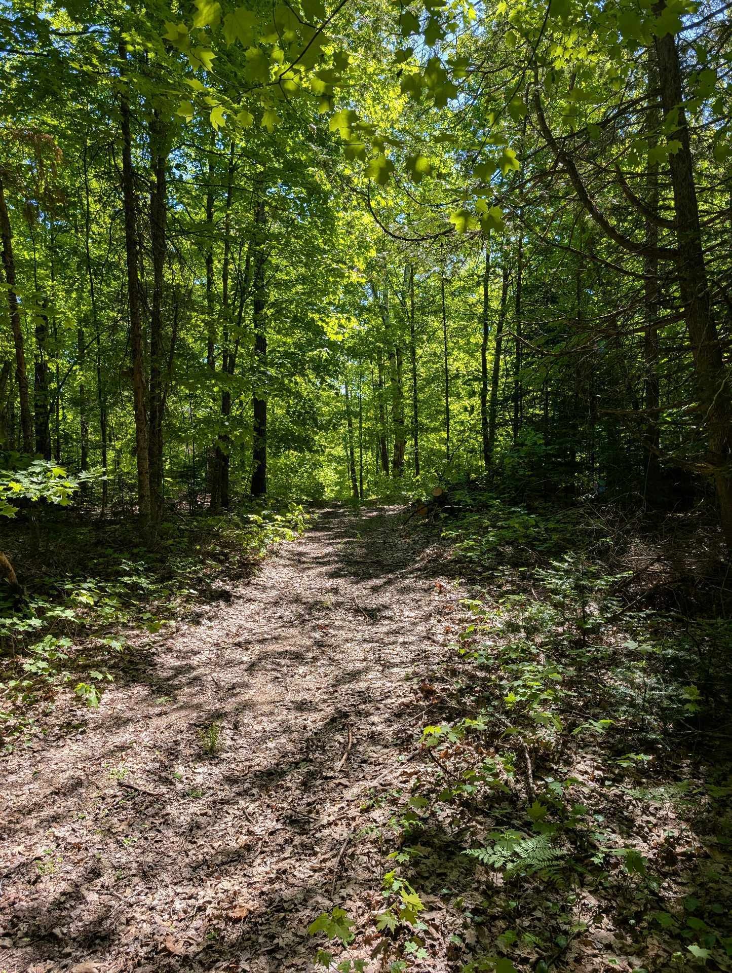 Terre/Terrain - 27 Ch. Bernier, La Pêche, QC