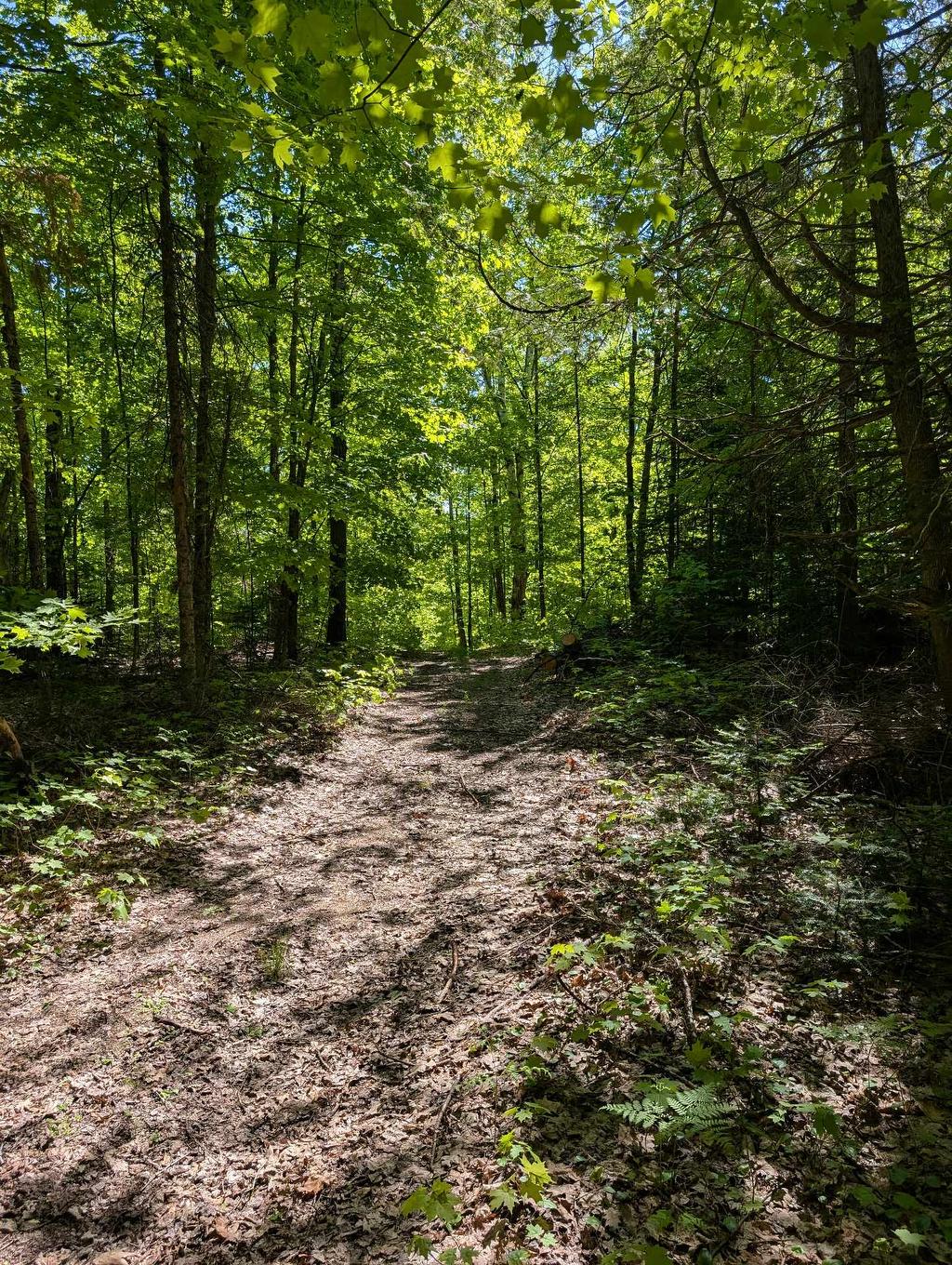 Land/Lot - 27 Ch. Bernier, La Pêche, QC