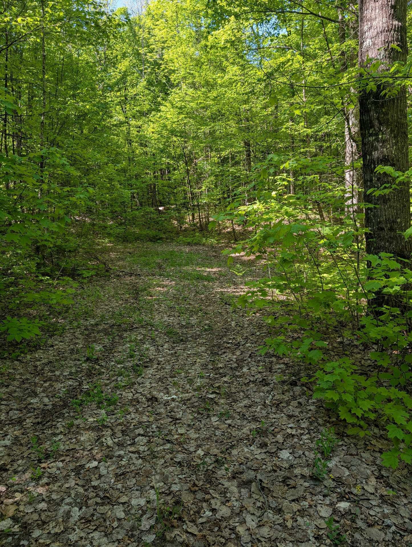 Terre/Terrain - 27 Ch. Bernier, La Pêche, QC