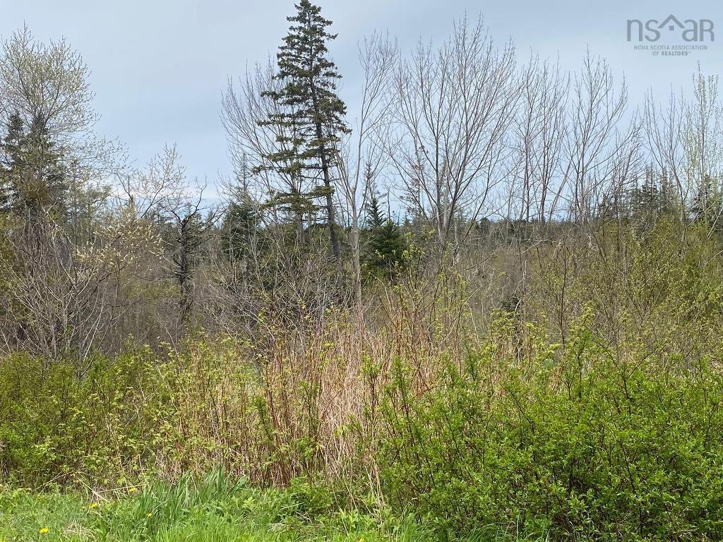 0 Lansdowne Road, Lansdowne, NS