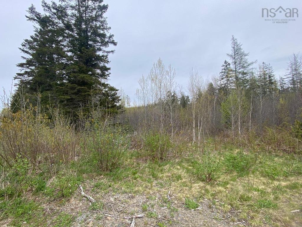 0 Lansdowne Road, Lansdowne, NS