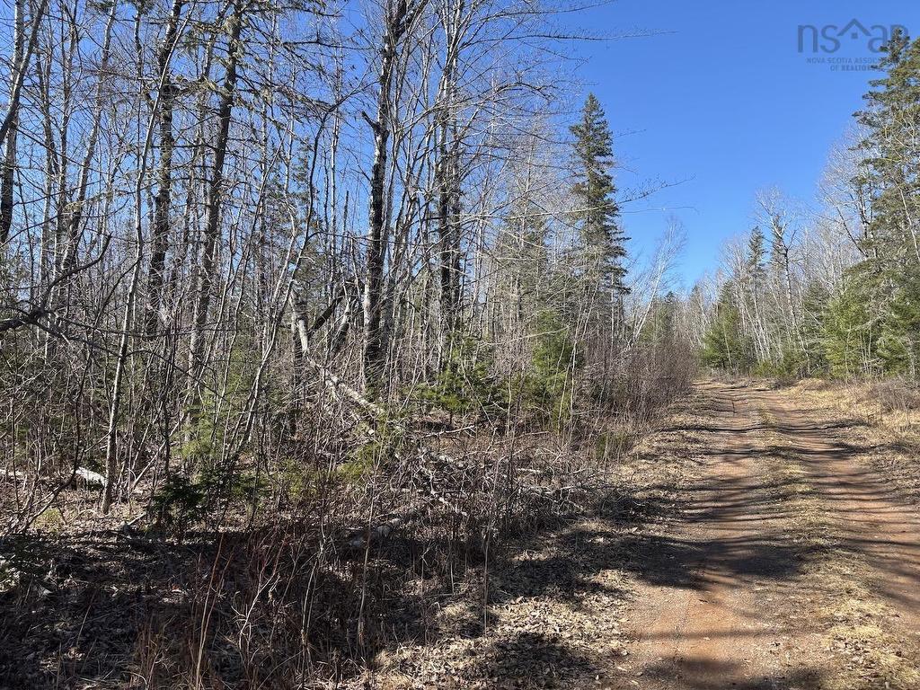 Black Lake, No 104 Highway, Black Lake, NS