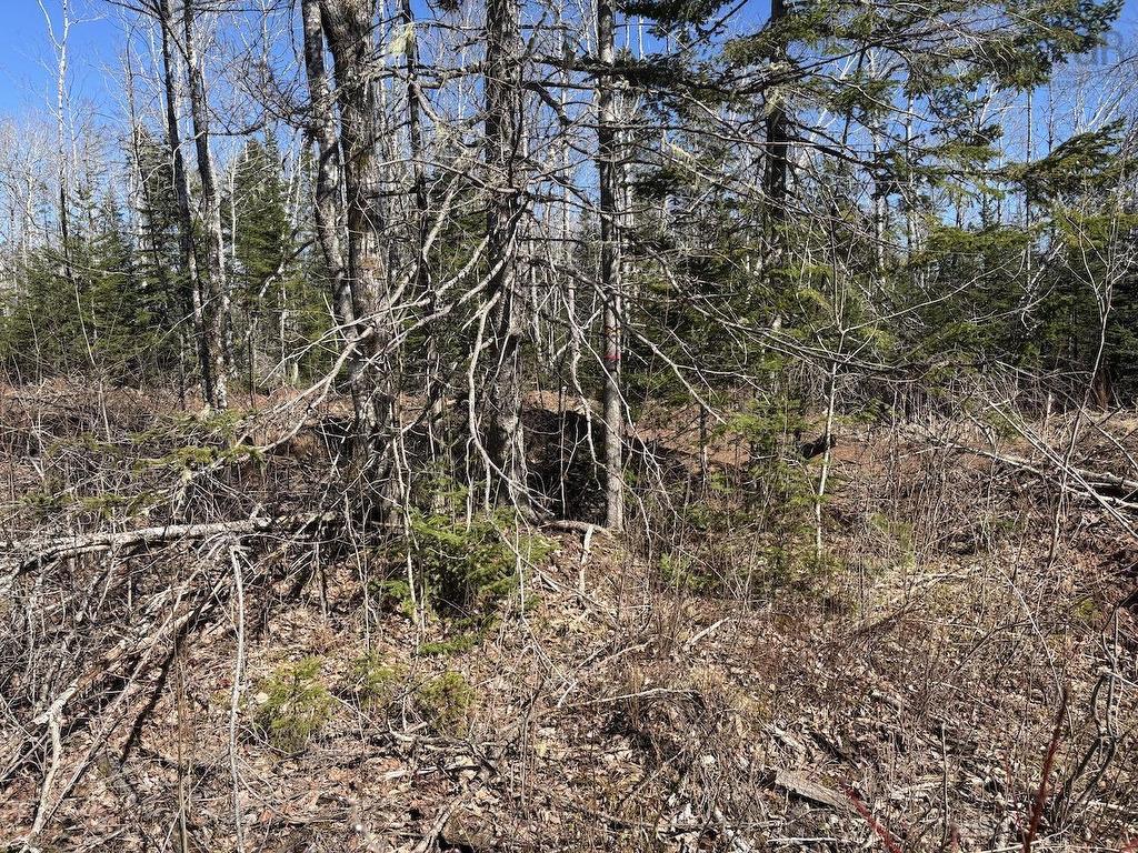 Black Lake, No 104 Highway, Black Lake, NS