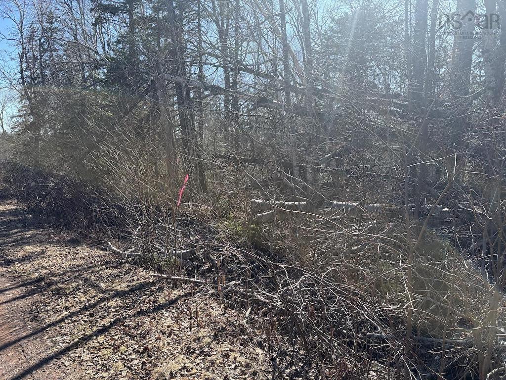 Black Lake, No 104 Highway, Black Lake, NS