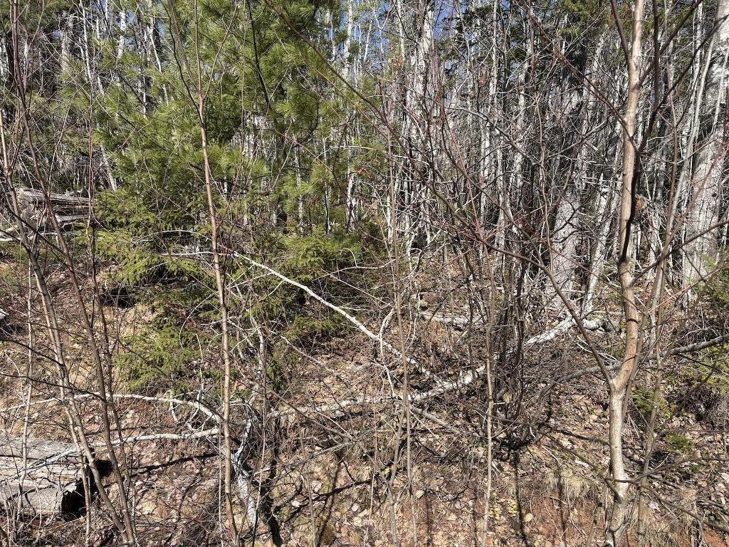 Black Lake, No 104 Highway, Black Lake, NS