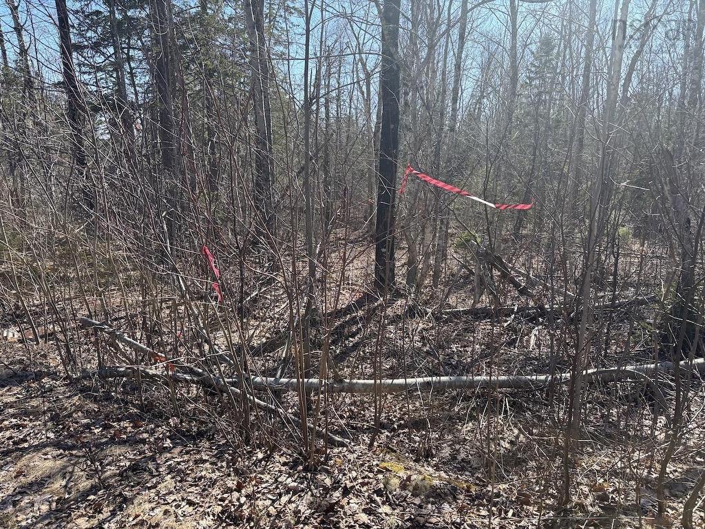 Black Lake, No 104 Highway, Black Lake, NS