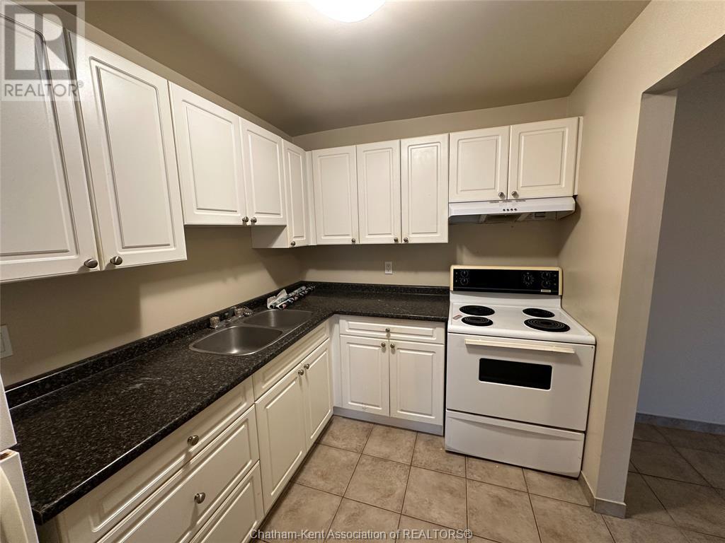 9 Sarah Crescent Unit# 303, Chatham, ON - Indoor Photo Showing Kitchen With Double Sink