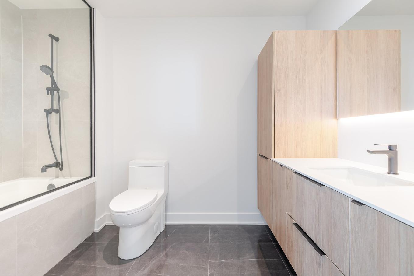 Sous-sol - 2703-399 Rue De La Rotonde, Montréal (Verdun/Île-Des-Soeurs), QC - Indoor Photo Showing Bathroom