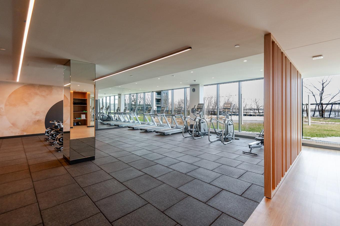 Salle d'exercice - 2703-399 Rue De La Rotonde, Montréal (Verdun/Île-Des-Soeurs), QC - Indoor Photo Showing Gym Room