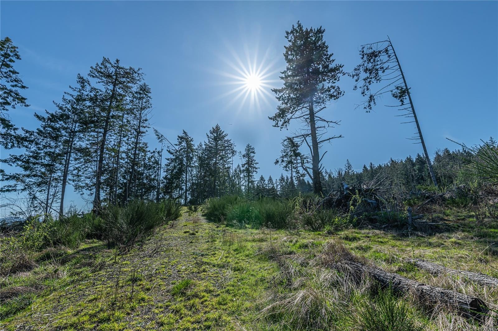 547 Beddis Rd, Salt Spring, BC