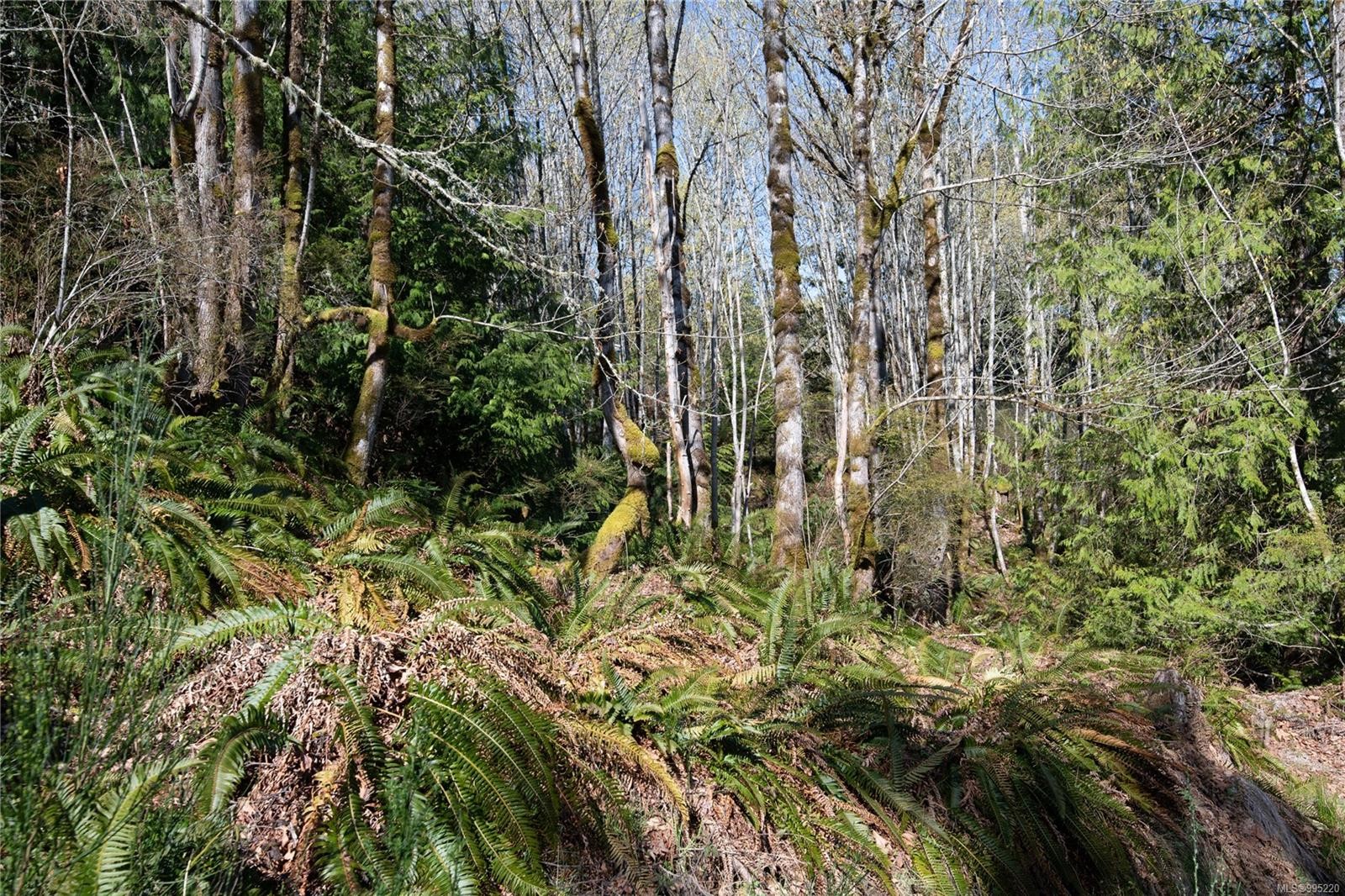 547 Beddis Rd, Salt Spring, BC