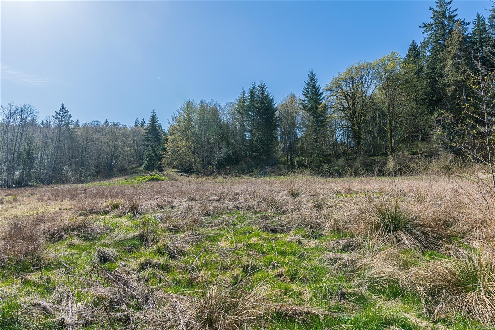 547 Beddis Rd, Salt Spring, BC