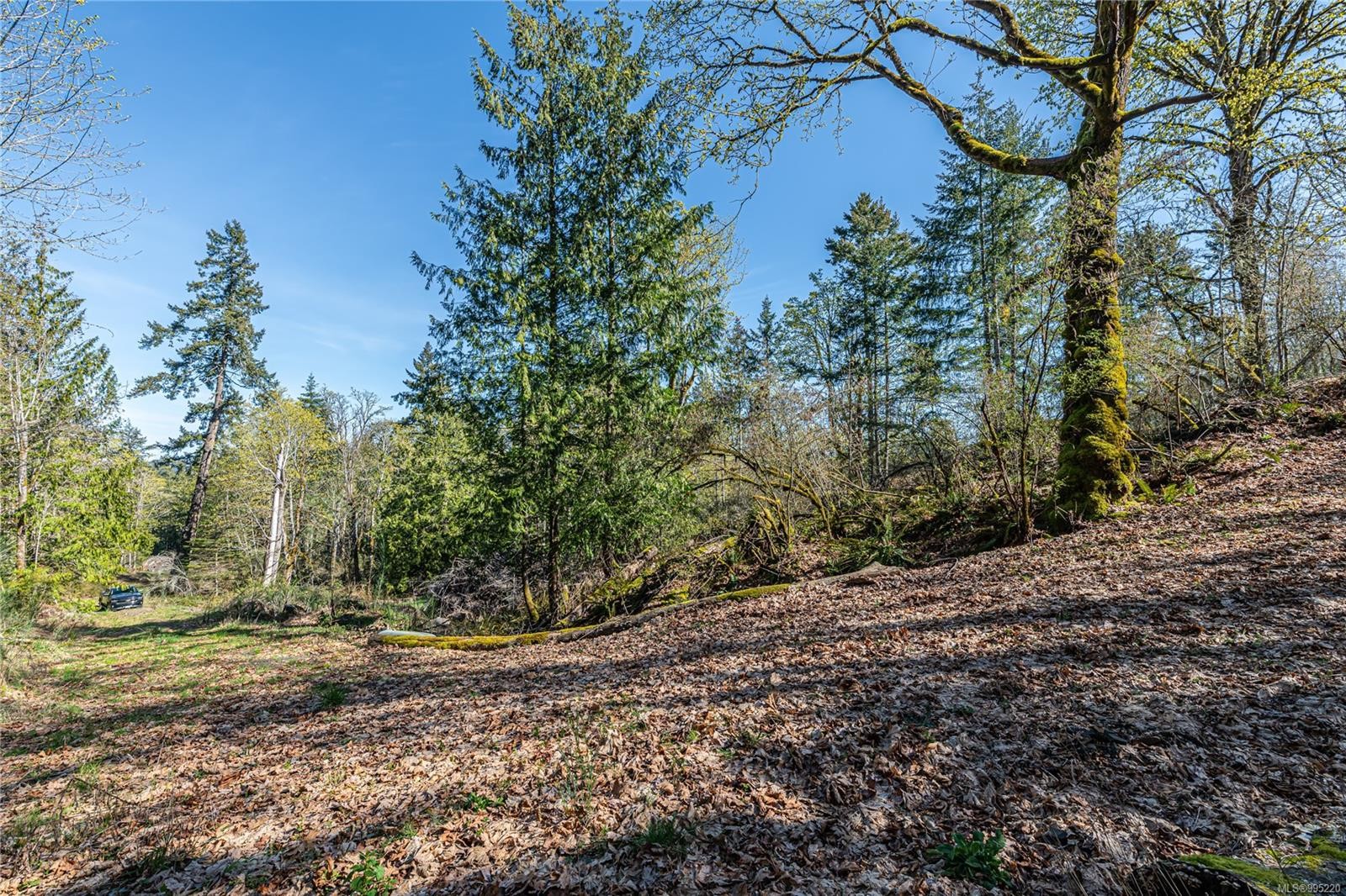 547 Beddis Rd, Salt Spring, BC