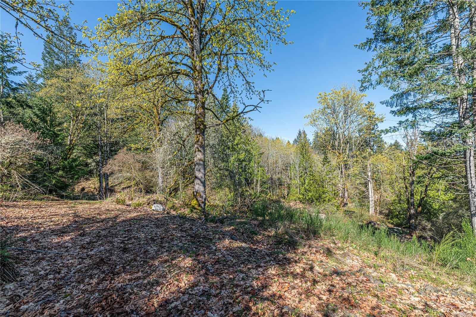 547 Beddis Rd, Salt Spring, BC